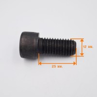 M12x25 วัดไซต์